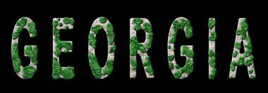 Gürcistan Ormanlaşması ve İklim Mesajı, Sürdürülebilir Yeşil Tipografi, Yeşil Gündem