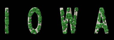 Iowa Ormanlaşması ve İklim Mesajı, Sürdürülebilir Yeşil Tipografi, Yeşil Gündem