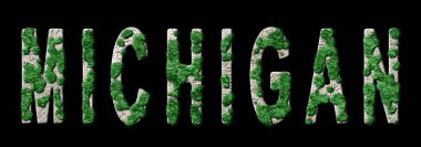 Michigan Ormanlaşma ve İklim Mesajı, Sürdürülebilir Yeşil Tipografi, Yeşil Gündem