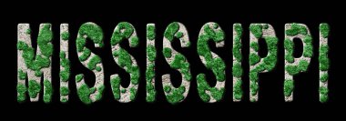 Mississippi Yeniden Ormanlama ve İklim Mesajı, Sürdürülebilir Yeşil Tipografi, Yeşil Gündem