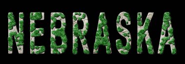 Nebraska Ormanını Yenileme ve İklim Mesajı, Sürdürülebilir Yeşil Tipografi, Yeşil Gündem