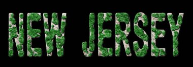 New Jersey Ormanlaşma ve İklim Mesajı, Sürdürülebilir Yeşil Tipografi, Yeşil Gündem