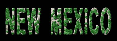 New Mexico Ormanlaşması ve İklim Mesajı, Sürdürülebilir Yeşil Tipografi, Yeşil Gündem