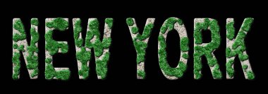 New York Ormanlaşması ve İklim Mesajı, Sürdürülebilir Yeşil Tipografi, Yeşil Gündem