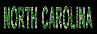 Kuzey Carolina Ormanlaşma ve İklim Mesajı, Sürdürülebilir Yeşil Tipografi, Yeşil Gündem