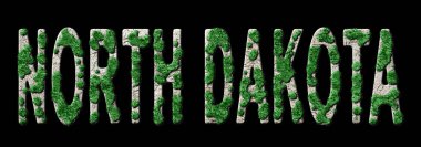 Kuzey Dakota Ormanlaşması ve İklim Mesajı, Sürdürülebilir Yeşil Tipografi, Yeşil Gündem