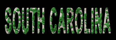 Güney Carolina Ormanlaşma ve İklim Mesajı, Sürdürülebilir Yeşil Tipografi, Yeşil Gündem