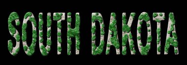 Güney Dakota Yeniden Ormanlama ve İklim Mesajı, Sürdürülebilir Yeşil Tipografi, Yeşil Gündem