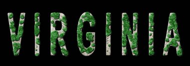 Virginia Ormanlama ve İklim Mesajı, Sürdürülebilir Yeşil Tipografi, Yeşil Gündem