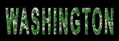 Washington Ormanlaşma ve İklim Mesajı, Sürdürülebilir Yeşil Tipografi, Yeşil Gündem