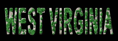 Batı Virginia Ormanlaşma ve İklim Mesajı, Sürdürülebilir Yeşil Tipografi, Yeşil Gündem