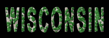 Wisconsin Yeniden Ormanlama ve İklim Mesajı, Sürdürülebilir Yeşil Tipografi, Yeşil Gündem