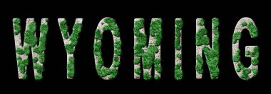 Wyoming Ormanlaşması ve İklim Mesajı, Sürdürülebilir Yeşil Tipografi, Yeşil Gündem