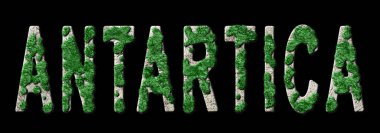 Antarktika Ormanlaşması ve İklim Mesajı, Sürdürülebilir Yeşil Tipografi, Yeşil Gündem