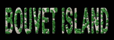 Bouvet Adası Ormanlaşması ve İklim Mesajı, Sürdürülebilir Yeşil Tipografi, Yeşil Gündem