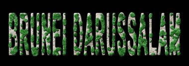 Brunei Darussalam Ormanını Yenileme ve İklim Mesajı, Sürdürülebilir Yeşil Tipografi, Yeşil Gündem