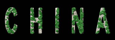 Çin Yeniden Ormanlama ve İklim Mesajı, Sürdürülebilir Yeşil Tipografi, Yeşil Gündem