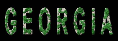 Gürcistan Ormanlaşması ve İklim Mesajı, Sürdürülebilir Yeşil Tipografi, Yeşil Gündem