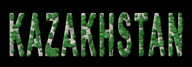 Kazakistan Ormanlarının Yeniden Canlandırılması ve İklim Mesajı, Sürdürülebilir Yeşil Tipografi, Yeşil Gündem