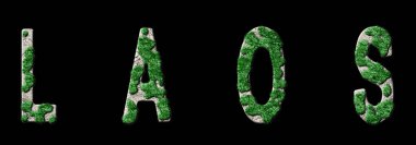 Laos Ormanlaşması ve İklim Mesajı, Sürdürülebilir Yeşil Tipografi, Yeşil Gündem