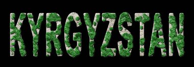 Kırgızistan Yeniden Ormanlama ve İklim Mesajı, Sürdürülebilir Yeşil Tipografi, Yeşil Gündem