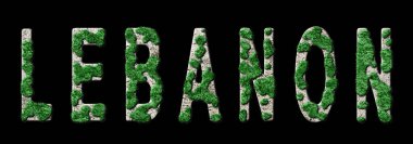 Lübnan Yeniden Ormanlama ve İklim Mesajı, Sürdürülebilir Yeşil Tipografi, Yeşil Gündem