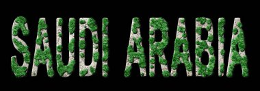 Suudi Arabistan Ormanlarını Yenileme ve İklim Mesajı, Sürdürülebilir Yeşil Tipografi, Yeşil Gündem