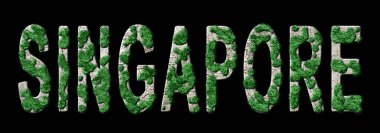 Singapur Ormanlaşması ve İklim Mesajı, Sürdürülebilir Yeşil Tipografi, Yeşil Gündem