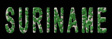 Surinam Yeniden İsimlendirme ve İklim Mesajı, Sürdürülebilir Yeşil Tipografi, Yeşil Gündem