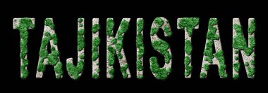 Tacikistan Ormanını Yenileme ve İklim Mesajı, Sürdürülebilir Yeşil Tipografi, Yeşil Gündem