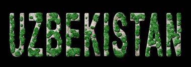 Özbekistan Yeniden Ormanlama ve İklim Mesajı, Sürdürülebilir Yeşil Tipografi, Yeşil Gündem