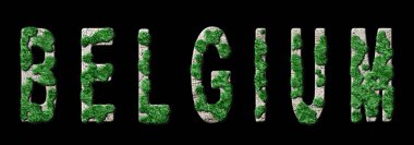 Belçika Yeniden Ormanlanma ve İklim Mesajı, Sürdürülebilir Yeşil Tipografi, Yeşil Gündem