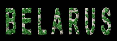 Belarus Ormanlaşması ve İklim Mesajı, Sürdürülebilir Yeşil Tipografi, Yeşil Gündem