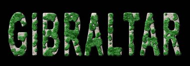 Cebelitarık Ormanını Yenileme ve İklim Mesajı, Sürdürülebilir Yeşil Tipografi, Yeşil Gündem