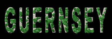 Guernsey Ormancılık ve İklim Mesajı, Sürdürülebilir Yeşil Tipografi, Yeşil Gündem