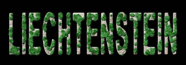 Lihtenştayn Ormanlaşması ve İklim Mesajı, Sürdürülebilir Yeşil Tipografi, Yeşil Gündem