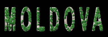 Moldova Yeniden Ormanlandırma ve İklim Mesajı, Sürdürülebilir Yeşil Tipografi, Yeşil Gündem