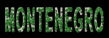 Karadağ Ormanlaştırma ve İklim Mesajı, Sürdürülebilir Yeşil Tipografi ve Yeşil Gündem