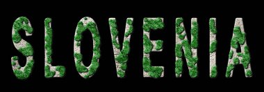 Slovenya Yeniden Ormanlama ve İklim Mesajı, Sürdürülebilir Yeşil Tipografi, Yeşil Gündem