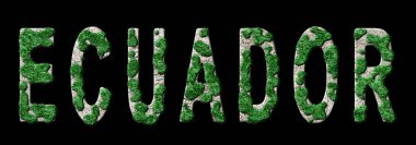 Ekvador Yeniden Ormanlandırma ve İklim Mesajı, Sürdürülebilir Yeşil Tipografi, Yeşil Gündem