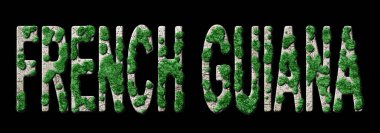 Fransız Guyanası Ormanlaşması ve İklim Mesajı, Sürdürülebilir Yeşil Tipografi, Yeşil Gündem