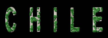 Şili Yeniden Ormanlanma ve İklim Mesajı, Sürdürülebilir Yeşil Tipografi, Yeşil Gündem