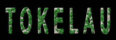 Tokelau Ormanını Yenileme ve İklim Mesajı, Sürdürülebilir Yeşil Tipografi, Yeşil Gündem