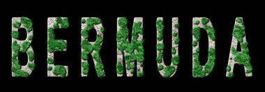 Bermuda Ormanlaşması ve İklim Mesajı, Sürdürülebilir Yeşil Tipografi, Yeşil Gündem