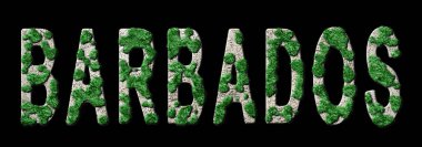 Barbados Yeniden Ormanlandırma ve İklim Mesajı, Sürdürülebilir Yeşil Tipografi, Yeşil Gündem