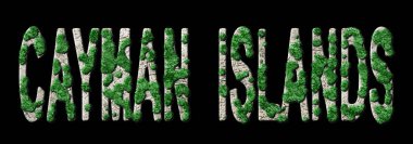 Cayman Adaları Yeniden Ormanlandırma ve İklim Mesajı, Sürdürülebilir Yeşil Tipografi, Yeşil Gündem