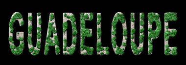 Guadeloupe Orman Yenileme ve İklim Mesajı, Sürdürülebilir Yeşil Tipografi, Yeşil Gündem