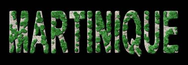 Martinique Ormanlaşması ve İklim Mesajı, Sürdürülebilir Yeşil Tipografi, Yeşil Gündem