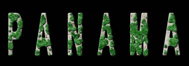 Panama Ormanlaşması ve İklim Mesajı, Sürdürülebilir Yeşil Tipografi, Yeşil Gündem