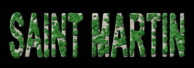 Saint Martin Ormancılık ve İklim Mesajı, Sürdürülebilir Yeşil Tipografi, Yeşil Gündem